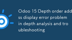 ODOO 15深度注文アドレスディスプレイエラー深度分析とトラブルシューティング