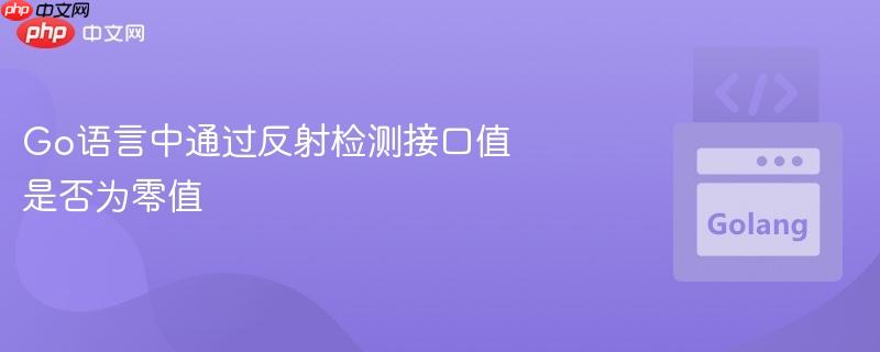 Go语言中通过反射检测接口值是否为零值