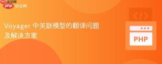 Voyager 中关联模型的翻译问题及解决方案