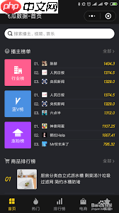 飞瓜数据如何查看抖音粉榜单