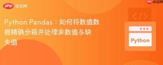 Python Pandas：如何将数值数据精确分箱并处理非数值与缺失值