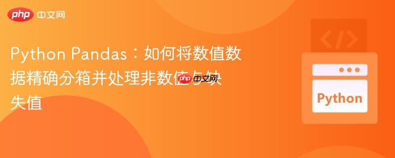 python pandas:如何将数值数据精确分箱并处理非数值与缺失值