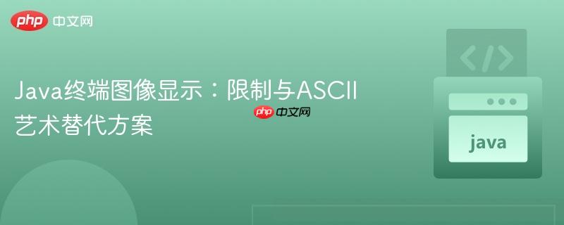 Java终端图像显示：限制与ASCII艺术替代方案