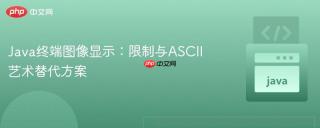 Java终端图像显示：限制与ASCII艺术替代方案