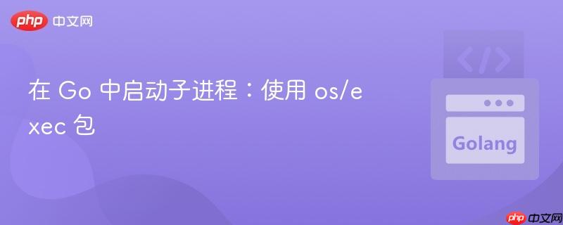 在 Go 中启动子进程：使用 os/exec 包