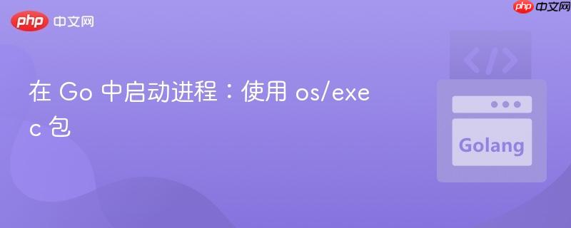 在 go 中启动进程:使用 os/exec 包