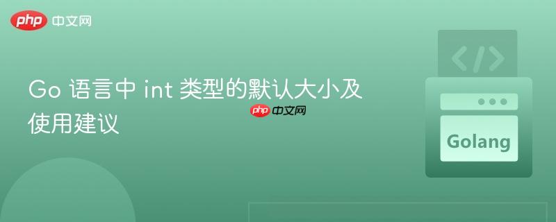 go 语言中 int 类型的默认大小及使用建议