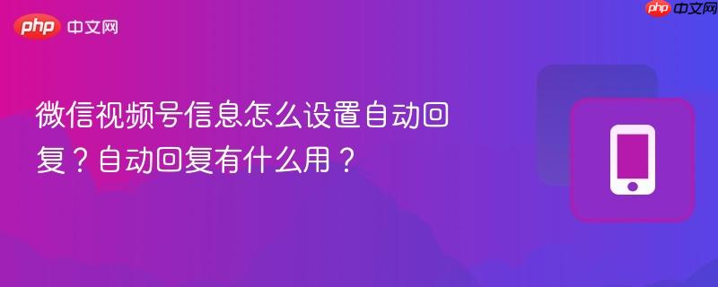 微信视频号信息怎么设置自动回复?自动回复有什么用?