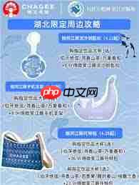 哪里有霸王茶姬微笑江豚托特包门店