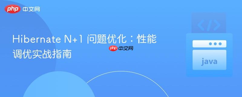 Hibernate N+1 问题优化：性能调优实战指南