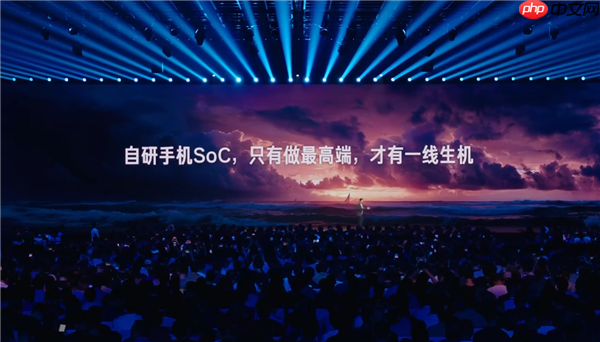 雷军谈自研手机SoC：只有做最高端才有一线生机