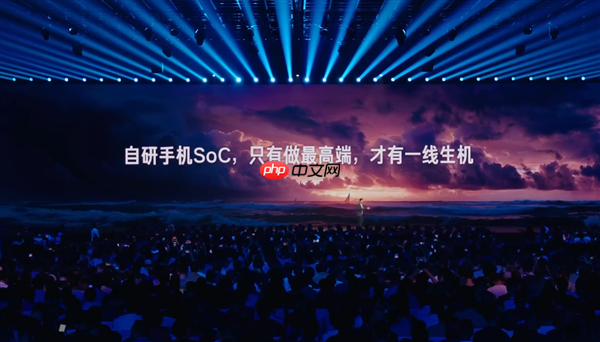 雷军谈自研手机soc：只有做最高端才有一线生机