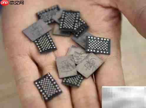 iPhone 5S与SE对比：差异全解析