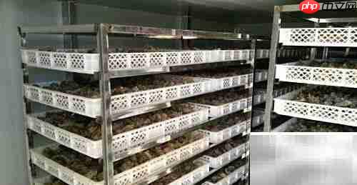 巧用烘干机延长草药保质期