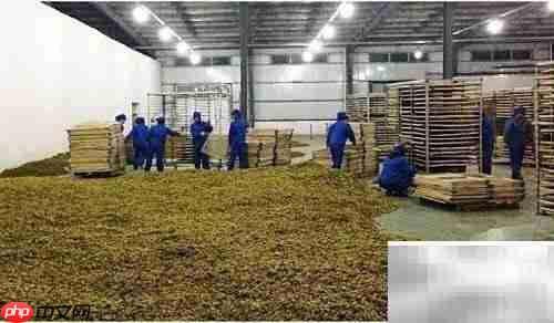 巧用烘干机延长草药保质期