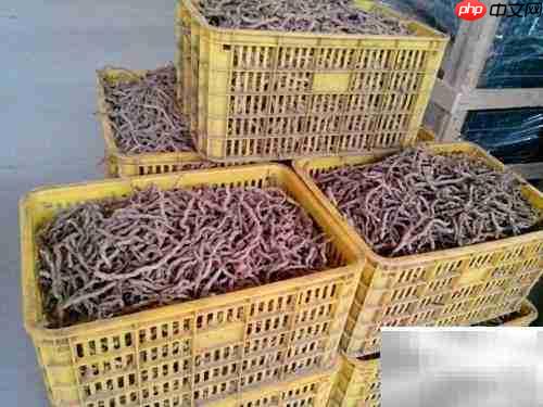 巧用烘干机延长草药保质期