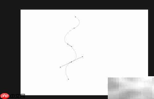 Photoshop丝绸画笔制作技巧