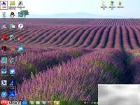 台式机如何关闭Computer Browser