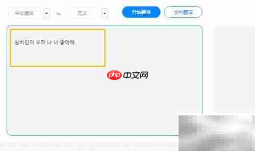 韩文翻译方法指南