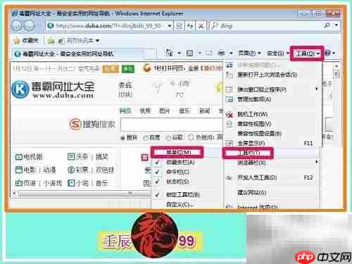 如何解除Adobe Flash禁用