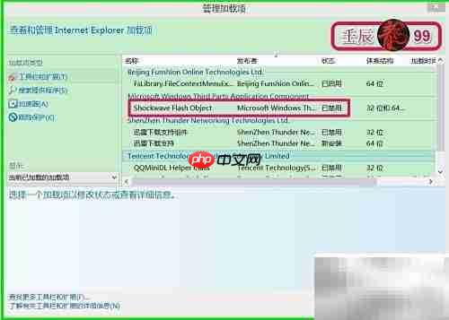 如何解除Adobe Flash禁用