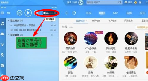 电脑声音播放不了怎么办?电脑声音播放不了处理方法