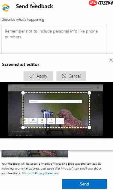 Win10 Edge Insider预览版不断完善反馈机制,新增截屏编辑器