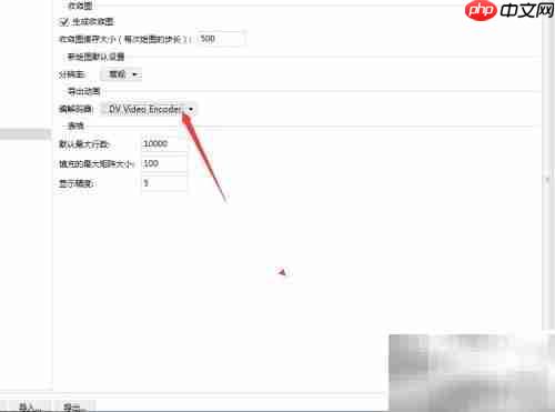 Multiphysics设置DV视频编码器
