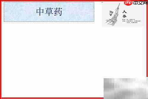 中草药手抄报：传统智慧之旅