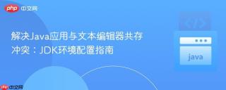 解决Java应用与文本编辑器共存冲突：JDK环境配置指南