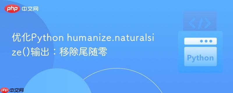 优化Python humanize.naturalsize()输出:移除尾随零