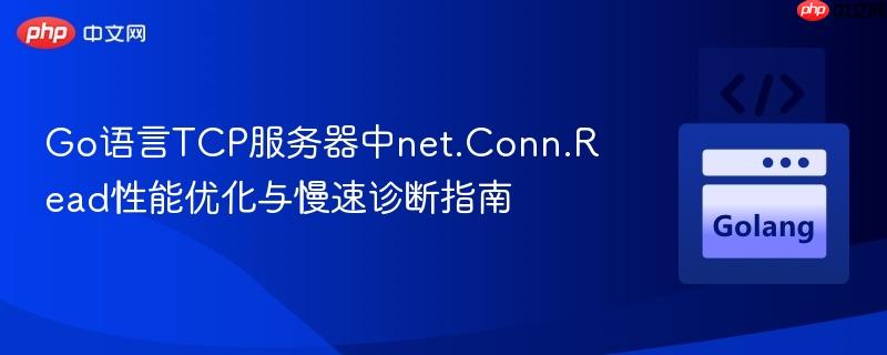 Go语言TCP服务器中net.Conn.Read性能优化与慢速诊断指南
