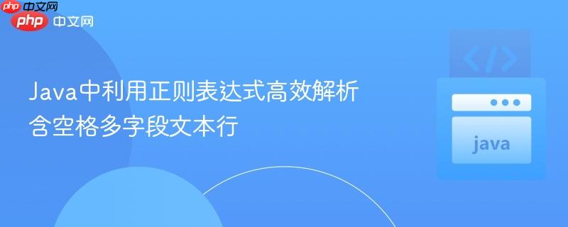 Java中利用正则表达式高效解析含空格多字段文本行