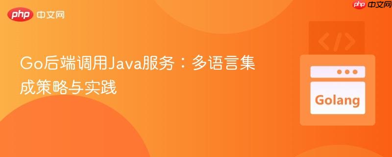Go后端调用Java服务:多语言集成策略与实践