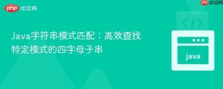 Java字符串模式匹配：高效查找特定模式的四字母子串