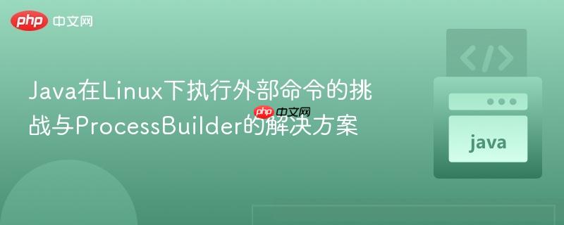 Java在Linux下执行外部命令的挑战与ProcessBuilder的解决方案