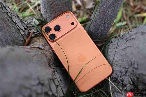 李楠建议安卓厂商不要去搞iPhone 17 Pro Max:有两大原因