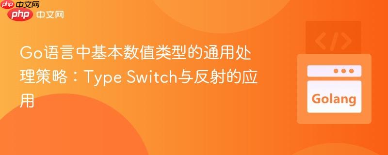 Go语言中基本数值类型的通用处理策略:Type Switch与反射的应用