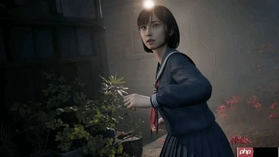 外国网友：终于找到了修复《寂静岭f》崩溃的办法