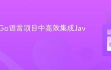 如何在Go语言项目中高效集成Java服务