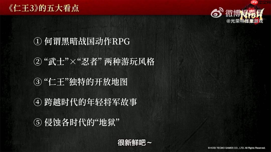 《仁王3》TGS 2025官方直播完整回放 五大看点解析