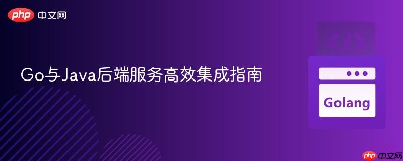Go与Java后端服务高效集成指南
