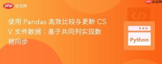 使用 Pandas 高效比较与更新 CSV 文件数据：基于共同列实现数据同步