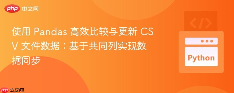 使用 Pandas 高效比较与更新 CSV 文件数据:基于共同列实现数据同步