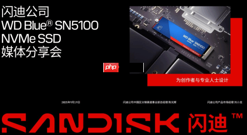 专为内容创作、AI应用打造的存储设备来了!闪迪媒体分享会展示新款SN5100 SSD
