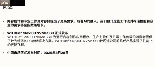专为内容创作、AI应用打造的存储设备来了!闪迪媒体分享会展示新款SN5100 SSD