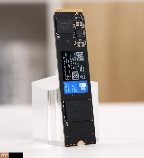 专为内容创作、AI应用打造的存储设备来了!闪迪媒体分享会展示新款SN5100 SSD