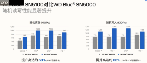 专为内容创作、AI应用打造的存储设备来了!闪迪媒体分享会展示新款SN5100 SSD