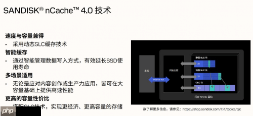专为内容创作、AI应用打造的存储设备来了!闪迪媒体分享会展示新款SN5100 SSD