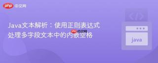 Java文本解析：使用正则表达式处理多字段文本中的内嵌空格
